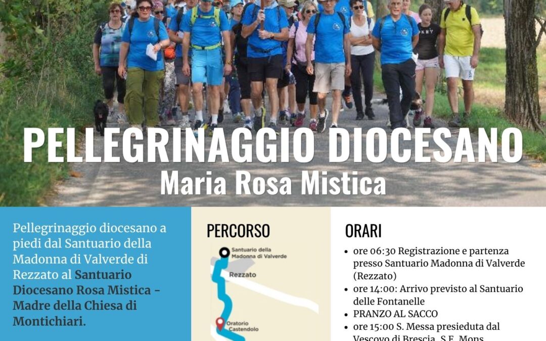 Pellegrinaggio Diocesano Maria Rosa Mistica
